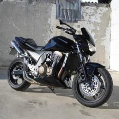 Kawasaki Z750 Fighter - nye spejle