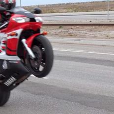 Yamaha YZF R6 (Århus)