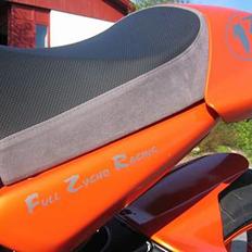 Yamaha Fzr 1000 Streetfighter..