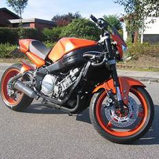 Yamaha Fzr 1000 Streetfighter..