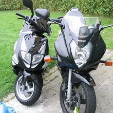 PGO T-rex 110 *solgt*