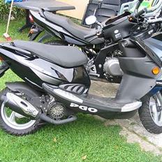 PGO T-rex 110 *solgt*