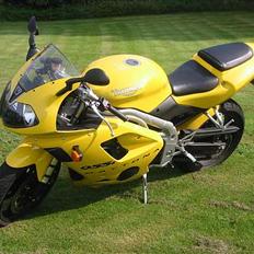 Triumph Daytona 955I