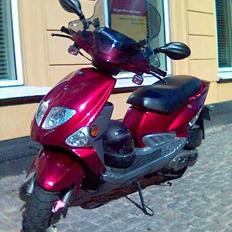 PGO T-Rex 150ccm