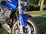 Honda hornet 600 (solgt)