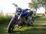 Honda hornet 600 (solgt)
