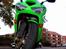 Kawasaki ZXR636 - det sidste syn en kat ser inden jeg rammer den