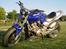 Honda hornet 600 (solgt)