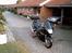 Honda Blackbird 1100 XX
