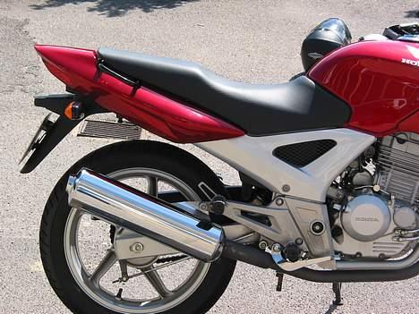 Honda CBF 250 #SOLGT# - Potten er lige blevet pudset og skinner som en brilliant :-) billede 5