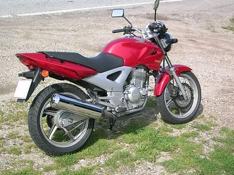 Honda CBF 250 #SOLGT# - Fandt en god rasteplads og så skulle der knipses... billede 8