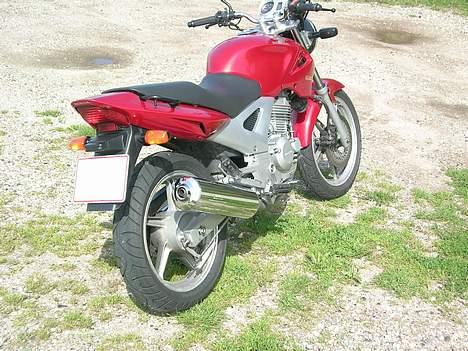 Honda CBF 250 #SOLGT# - ...mere.... billede 9