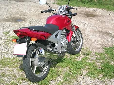 Honda CBF 250 #SOLGT# billede 10