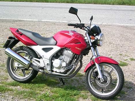 Honda CBF 250 #SOLGT# - Hvor er den pæn i solskinnet..... billede 11