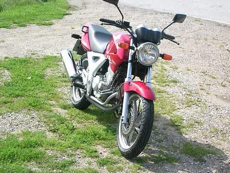 Honda CBF 250 #SOLGT# billede 14