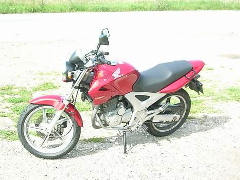 Honda CBF 250 #SOLGT# - Hmmm....(møgkamera) billede 15