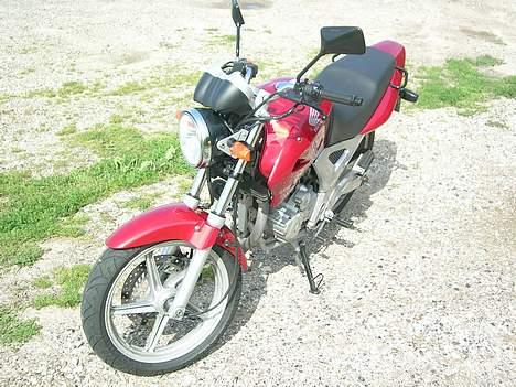 Honda CBF 250 #SOLGT# billede 16