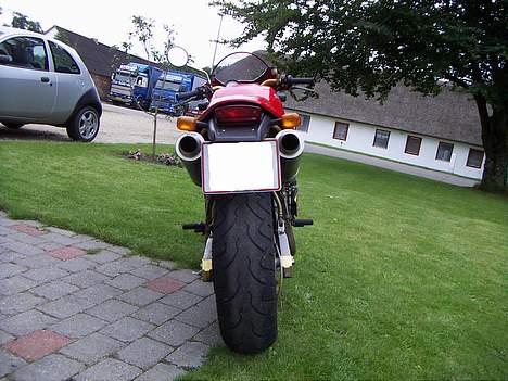 Ducati 900 monster billede 3