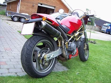 Ducati 900 monster billede 4