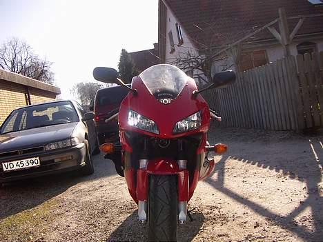 Honda cbr 600rr billede 2