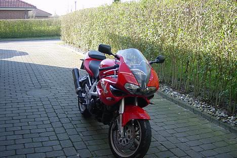 Suzuki TL 1000 S - Solgt billede 1
