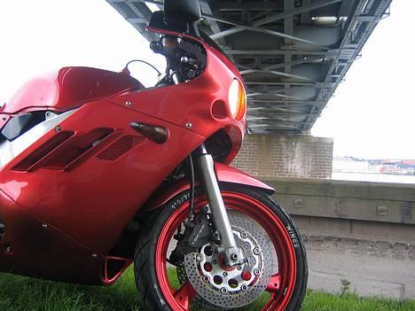 Harley Davidson Shovelhead billede 10