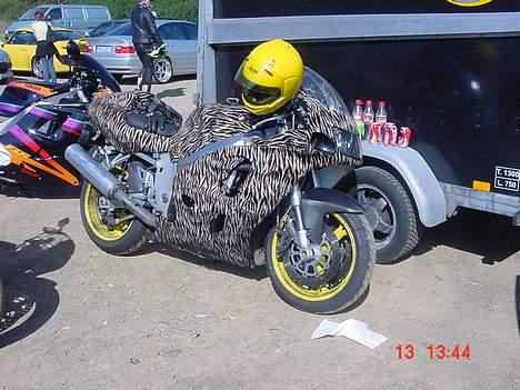 Suzuki GSX-R 750 aka Tigerdyret - Tigerdyret i de gode dage, taget på Ringen 2003 billede 1