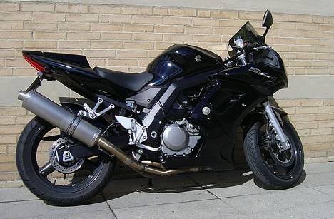 Suzuki SV650S *solgt* - Forår 2006 modifikationer: ny bagende og nyt kåbeglas billede 1