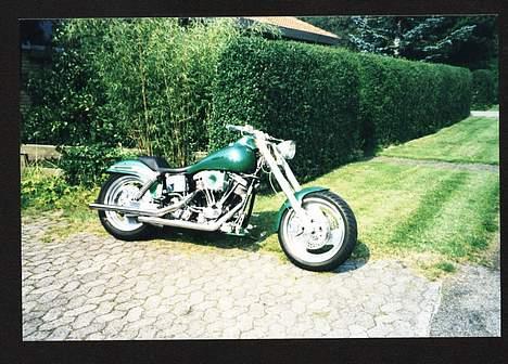 Harley Davidson Troublehead billede 1