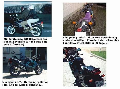 Suzuki TL1000R billede 10