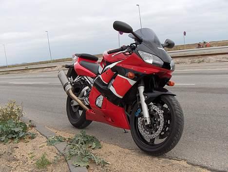 Yamaha R6 (Århus) - Frækkert på Århus havn billede 10