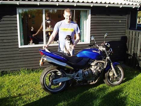 Honda CB 600 F Hornet [SOLGT] - Hunden ville også lige med på billedet eller... :o) billede 5