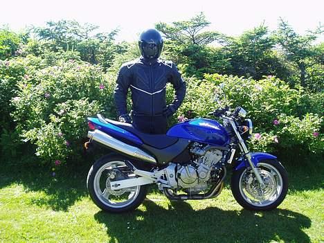Honda CB 600 F Hornet [SOLGT] - Klar til en tur i fuld mundering.. billede 6