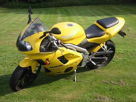 Triumph Daytona 955I billede 1