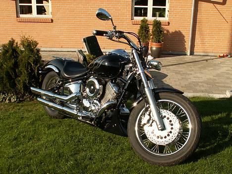 Yamaha Dragstar XVS 1100 billede 4