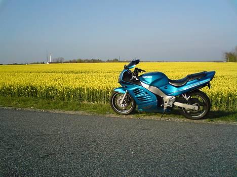 Suzuki RF600R (solgt) - Sikke gule omgivelser... billede 11