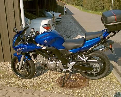 Suzuki SV 650 S (solgt) billede 4
