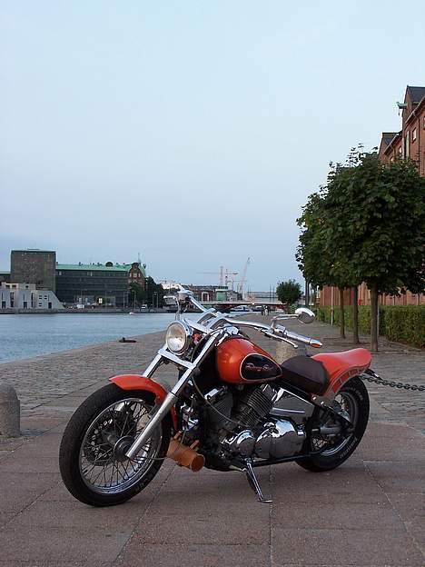 Yamaha Dragstar XVS 650 billede 14