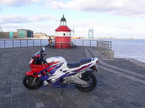 Honda CBR 600 (SOLGT) billede 8