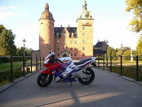 Honda CBR 600 (SOLGT) billede 11