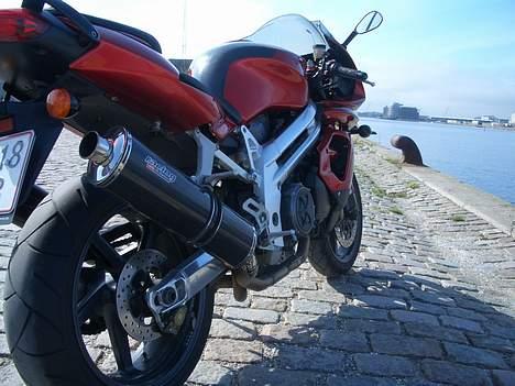 Aprilia Falco SL 1000 - Til Salg billede 2