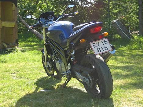 Hyosung GT650 Comet billede 2