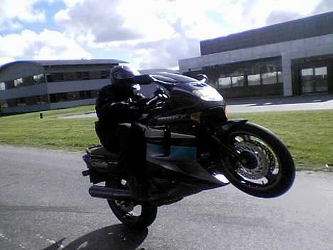 Honda cbr 1000f  *solgt* - lidt dårligt billede taget af en kammerat da han kørte ved siden af med hans telefon billede 2