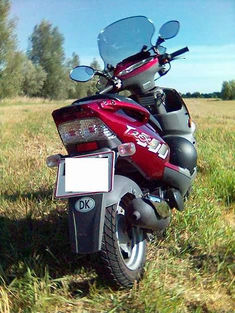 PGO T-Rex 150ccm billede 3