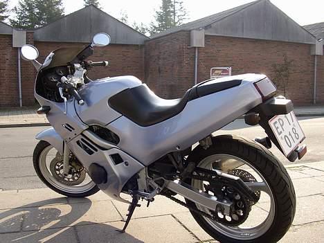 Suzuki GSX 250 R  billede 12