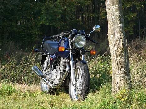 Honda XBR 500 billede 3