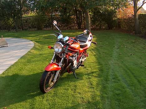 Suzuki gsf 600 bandit n billede 1