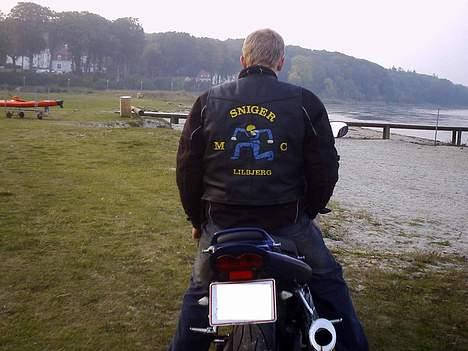 Suzuki GSF Bandit  *smadret* billede 16