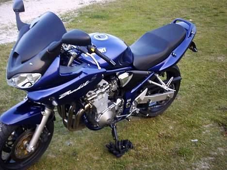 Suzuki GSF Bandit  *smadret* billede 19