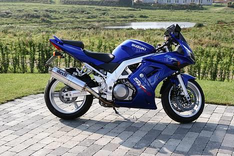 Suzuki SV1000S billede 1